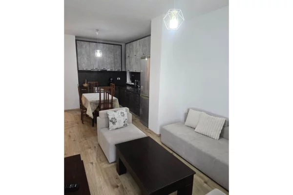 Shtepi me qera Apartament ne Tirane, 1+1, Mobilimi E mobiluar, Pagesa 600  Euro.