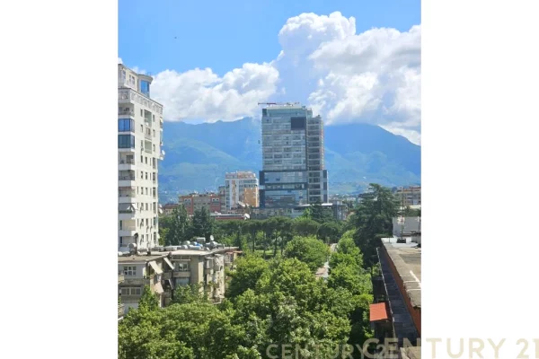 AMBIENT PER ZYRA ME QIRA PRANE LIBRIT UNIVERSITAR!