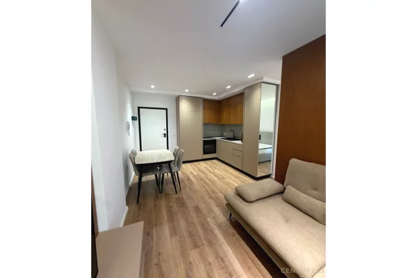 Shtepi me qera Apartament ne Tirane, Garsoniere, Mobilimi E mobiluar, Pagesa 500  Euro.