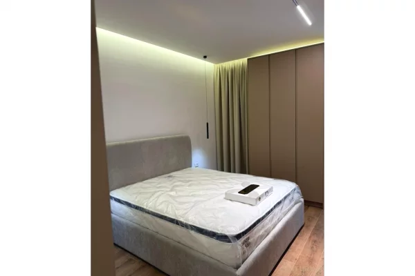 Shtepi me qera Apartament ne Tirane, Garsoniere, Mobilimi E mobiluar, Pagesa 500  Euro.
