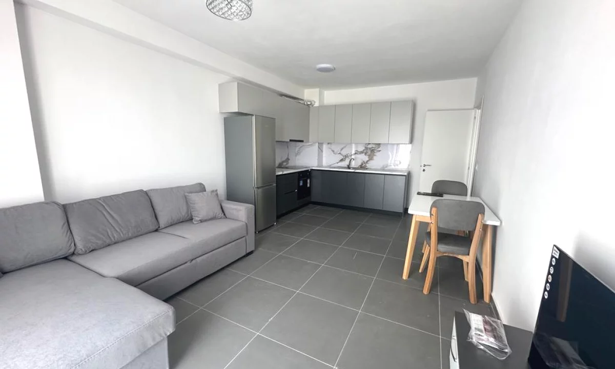 Shtepi me qera Apartament ne Tirane, 3+1, Mobilimi E mobiluar, Pagesa 650  Euro.