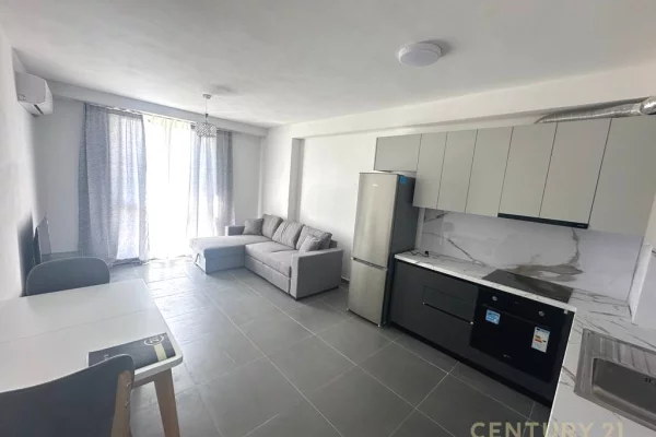 Shtepi me qera Apartament ne Tirane, 3+1, Mobilimi E mobiluar, Pagesa 650  Euro.