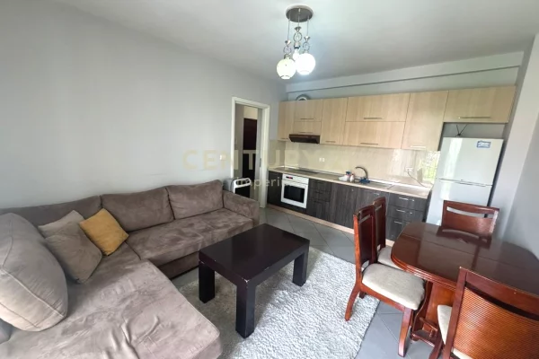 Shtepi me qera Apartament ne Tirane, 1+1, Mobilimi E mobiluar, Pagesa 450  Euro.