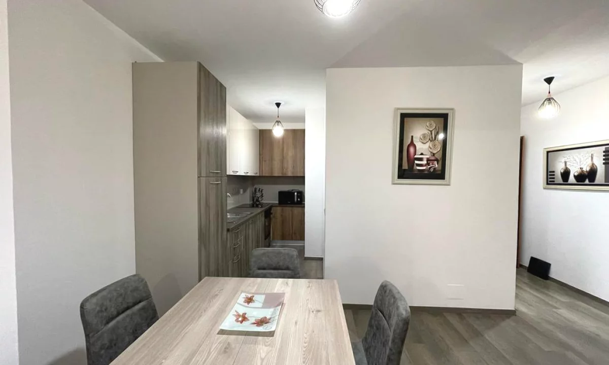 Shtepi me qera Apartament ne Tirane, 1+1, Mobilimi E mobiluar, Pagesa 650  Euro.