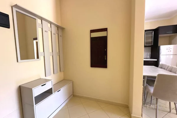 Shtepi me qera Apartament ne Tirane, 1+1, Mobilimi E mobiluar, Pagesa 380  Euro.