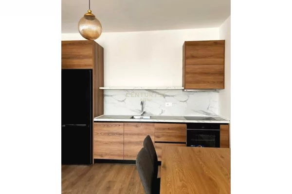 Shtepi me qera Apartament ne Tirane, 1+1, Mobilimi E mobiluar, Pagesa 550  Euro.