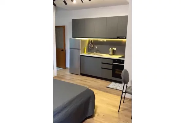 Shtepi me qera Apartament ne Tirane, Garsoniere, Mobilimi E mobiluar, Pagesa 350  Euro.