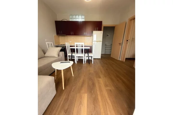Shtepi me qera Apartament ne Tirane, 1+1, Mobilimi E mobiluar, Pagesa 400  Euro.