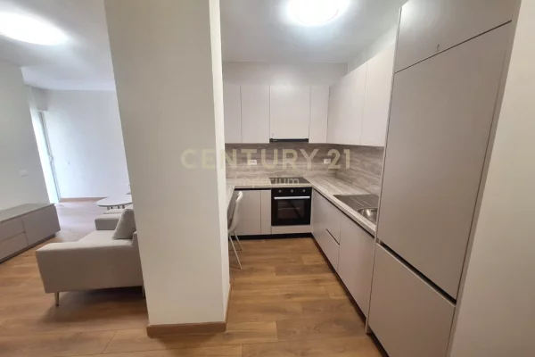 Shtepi me qera Apartament ne Tirane, 1+1, Mobilimi E mobiluar, Pagesa 600  Euro.