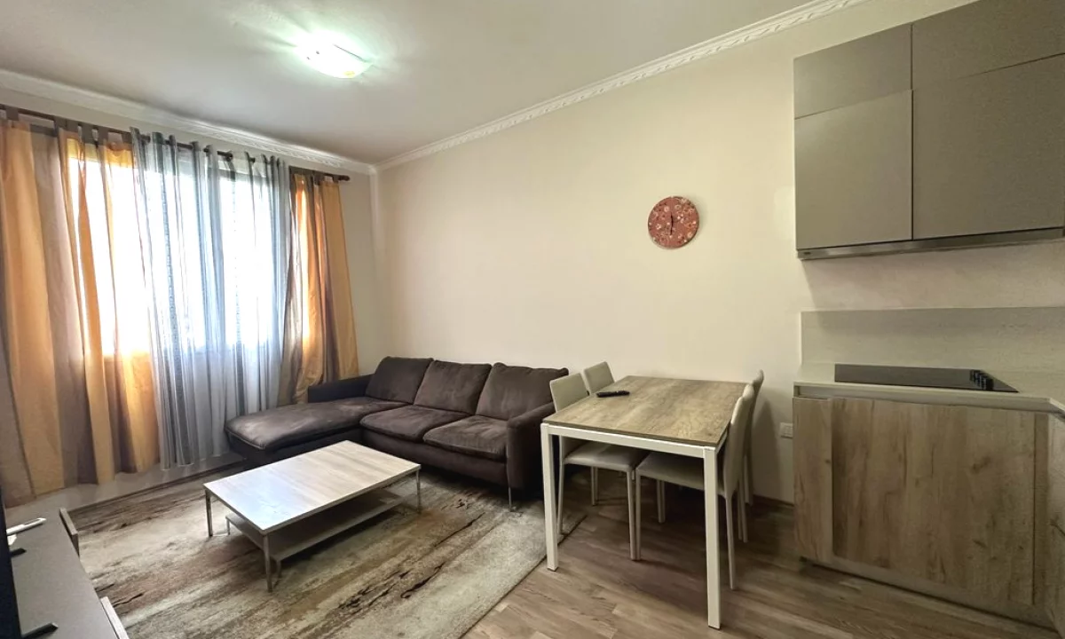Shtepi me qera Apartament ne Tirane, 1+1, Mobilimi E mobiluar, Pagesa 580  Euro.