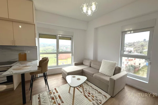 Shtepi me qera Apartament ne Tirane, 1+1, Mobilimi E mobiluar, Pagesa 450  Euro.