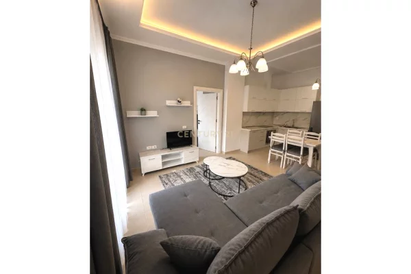 Shtepi me qera Apartament ne Tirane, 1+1, Mobilimi E mobiluar, Pagesa 500  Euro.