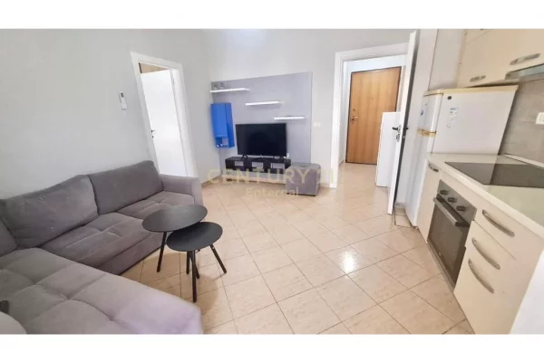 Shtepi me qera Apartament ne Tirane, 1+1, Mobilimi E mobiluar, Pagesa 450  Euro.