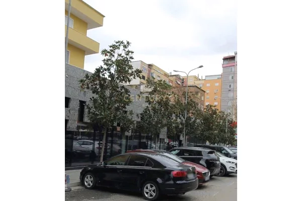 Shtepi ne shitje Apartament ne Tirane, 2+1, Mobilimi E mobiluar, Pagesa 230,000  Euro.