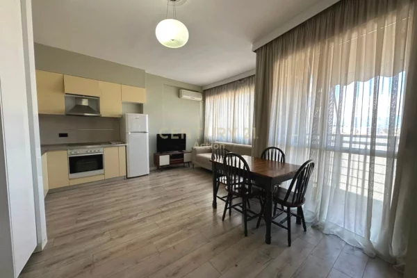 Shtepi me qera Apartament ne Tirane, 1+1, Mobilimi E mobiluar, Pagesa 450  Euro.