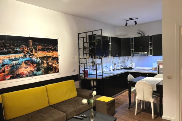 Shtepi me qera Apartament ne Tirane, 1+1, Mobilimi E mobiluar, Pagesa 550  Euro.