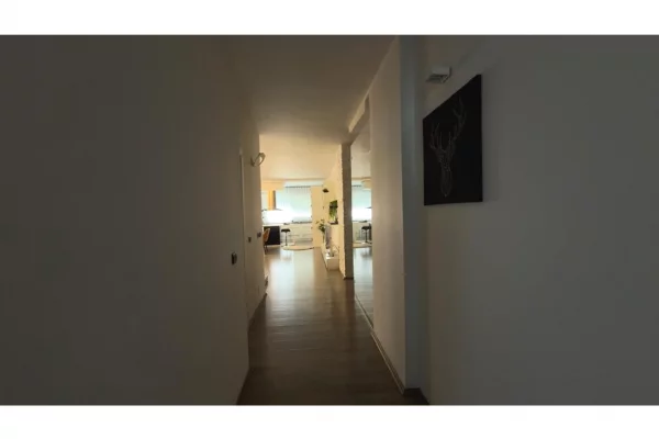 Shtepi me qera Apartament ne Tirane, 2+1, Mobilimi E mobiluar, Pagesa 950  Euro.