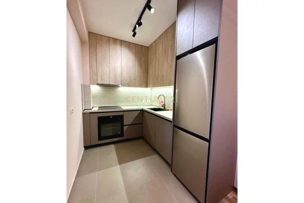 Shtepi me qera Apartament ne Tirane, 1+1, Mobilimi E mobiluar, Pagesa 465  Euro.