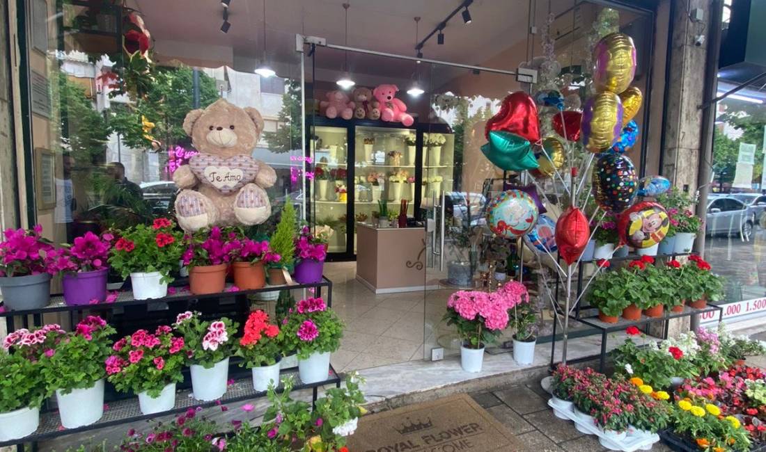 Shitet Biznesi Brryl