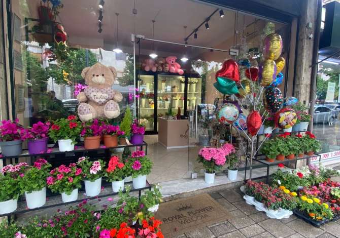 Business Property in Sale 1+1 in Tirana - 23,000 Euro