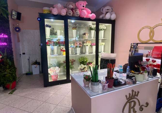 Business Property in Sale 1+1 in Tirana - 23,000 Euro