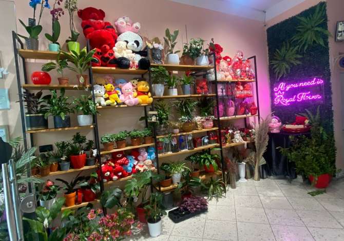 Business Property in Sale 1+1 in Tirana - 23,000 Euro