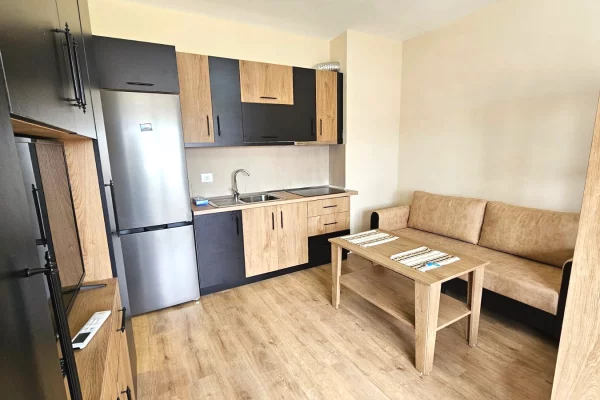 House for Rent 1+1 in Tirana - 400 Euro