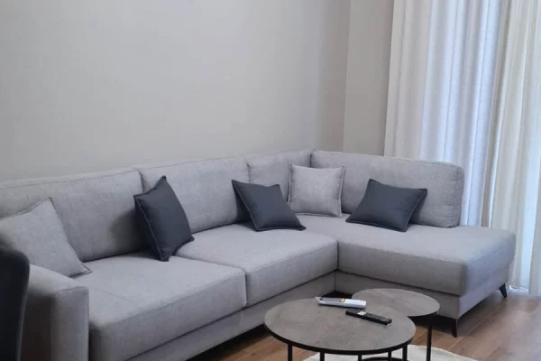 Shtepi me qera Apartament ne Tirane, 1+1, Mobilimi E mobiluar, Pagesa 550  Euro.