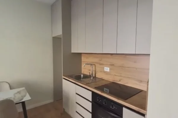 House for Rent 1+1 in Tirana - 35,000 Leke