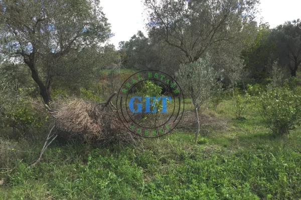 Truall ose Toke ne Durres - 120,000 Euro