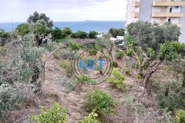 Shitet Toke me Pamje Deti ne Karpen te Kavajes, Golem ,Durres