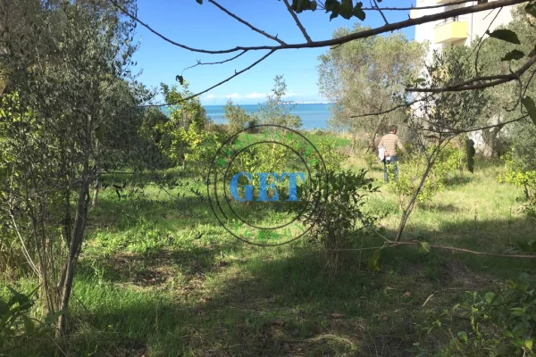 Shitet Toke me Pamje Deti ne Karpen te Kavajes, Golem ,Durres