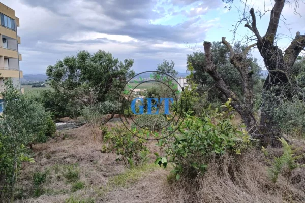 Shitet Toke me Pamje Deti ne Karpen te Kavajes, Golem ,Durres