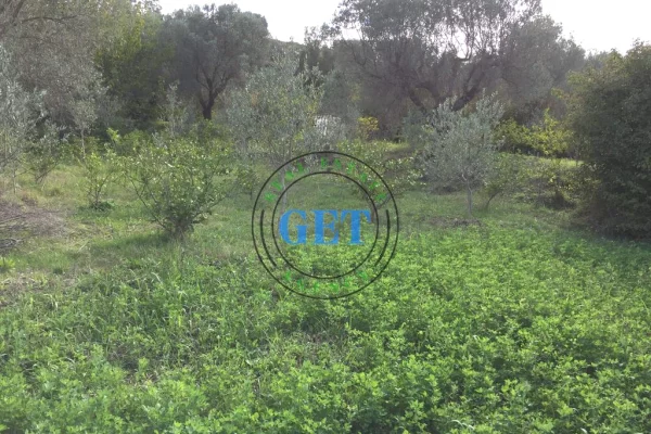 Shitet Toke me Pamje Deti ne Karpen te Kavajes, Golem ,Durres