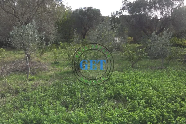 Shitet Toke me Pamje Deti ne Karpen te Kavajes, Golem ,Durres