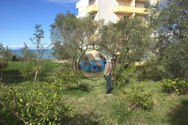 Shitet Toke me Pamje Deti ne Karpen te Kavajes, Golem ,Durres