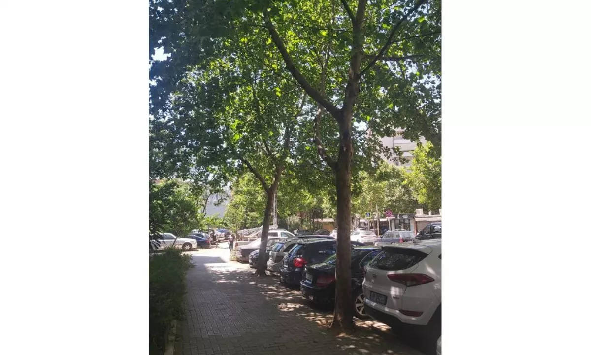 AMBIENT KOMERCIAL PER SHITJE NE DON BOSKO