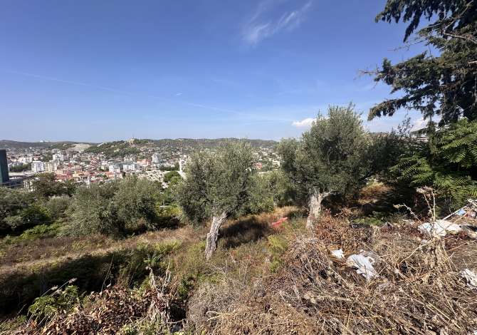 SHITET TOKE NE VLORE