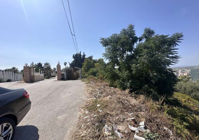 SHITET TOKE NE VLORE