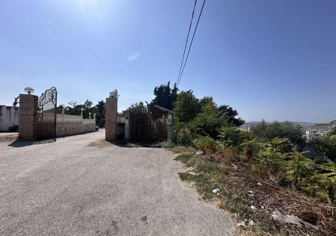 SHITET TOKE NE VLORE