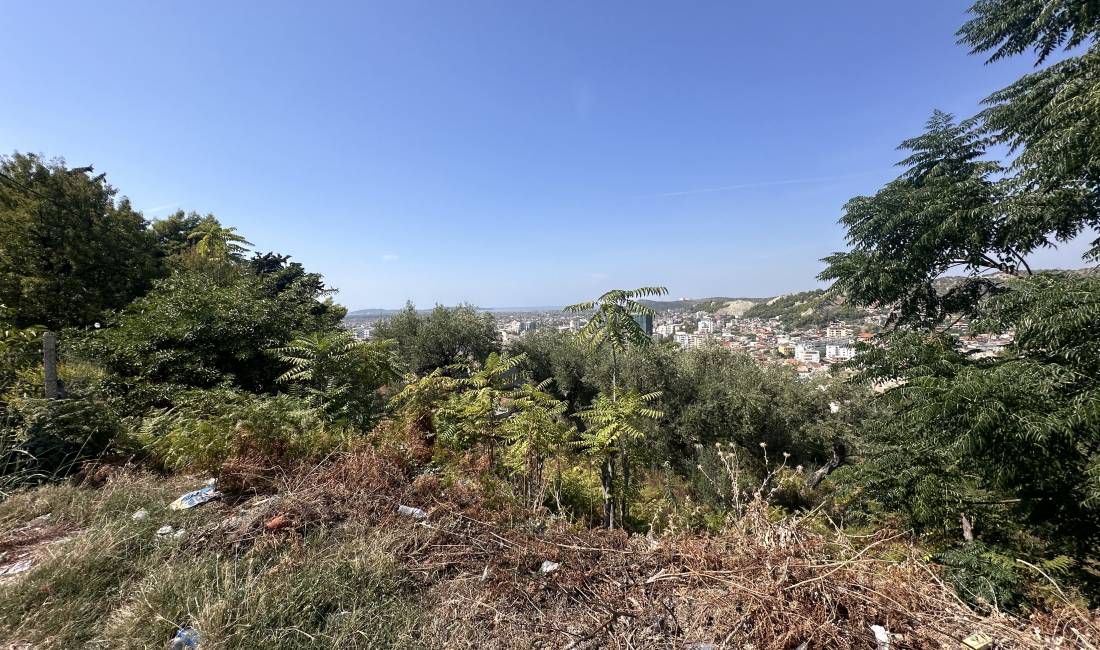 SHITET TOKE NE VLORE