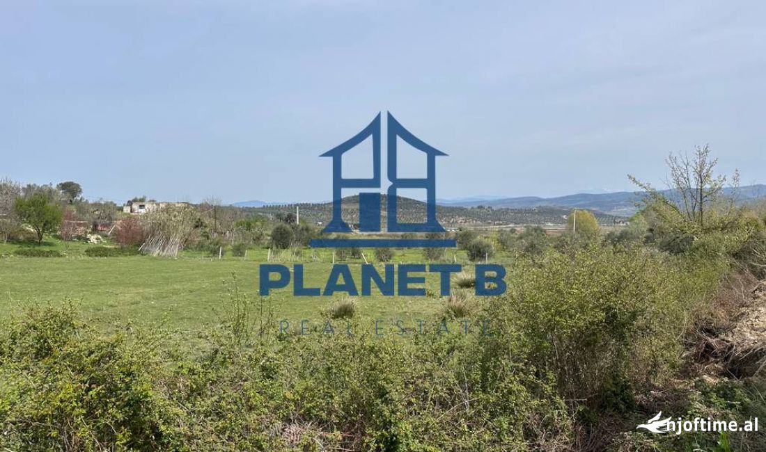 SHITET OKAZION NE KANINE