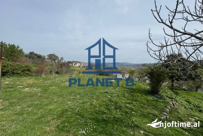 SHITET OKAZION NE KANINE