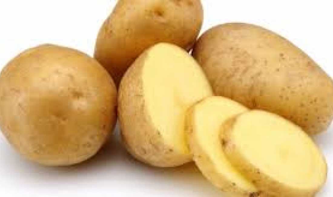 Njoftime Pune ne Tirane, Profesioni Punonjese per punim patatesh. , , Pagesa Me Marreveshje.