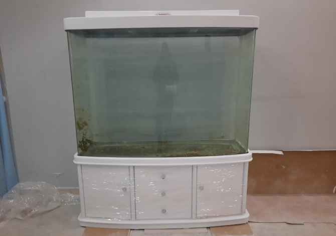 Different articles a Lushnja - 700 Euro