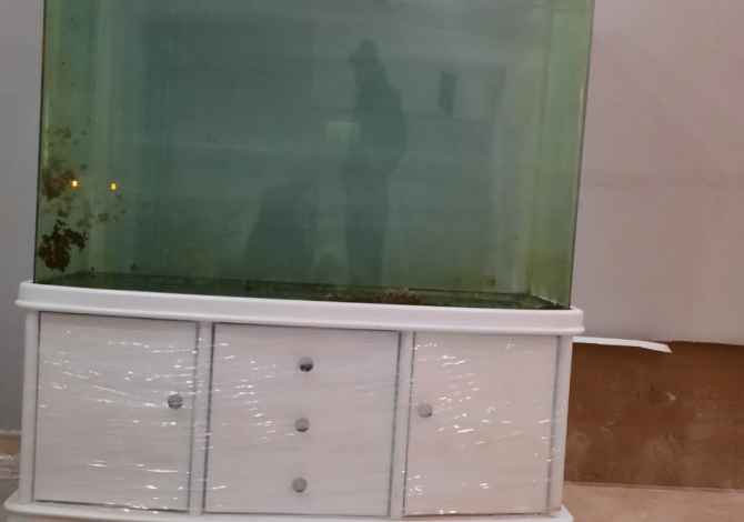 Different articles a Lushnja - 700 Euro