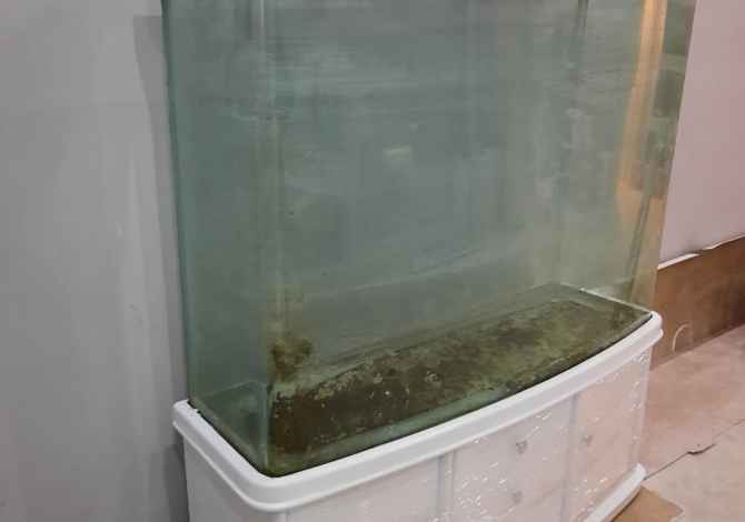 Different articles a Lushnja - 700 Euro