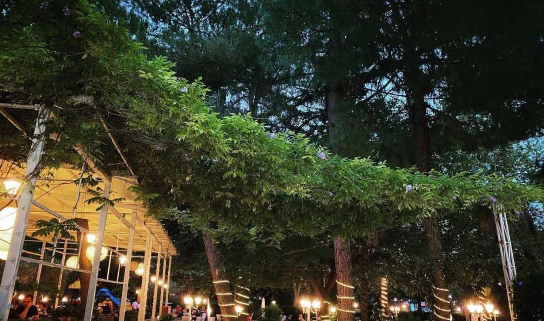 Njoftime Pune ne Tirane, Profesioni Kamarier restoranti , , Pagesa Me Marreveshje.