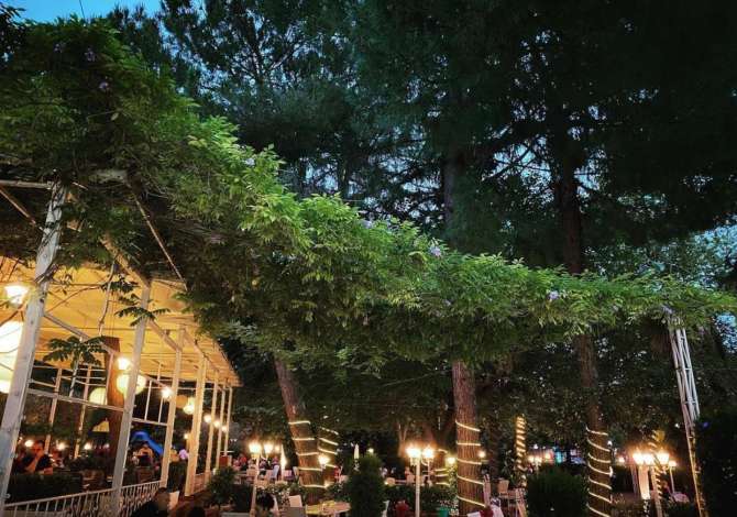 Njoftime Pune per Kamarier restoranti ne Tirane