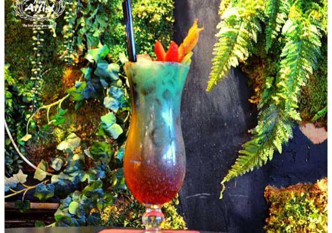 Njoftime Pune per ndihmes/e banakiere ne Tirane